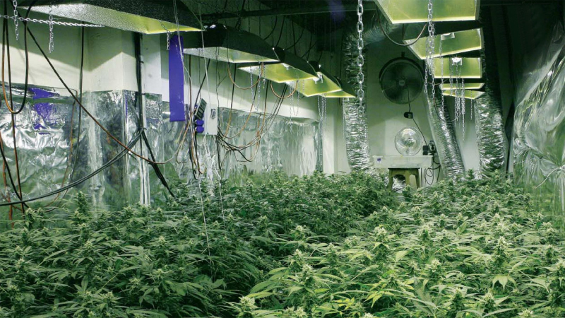 Illustration for article titled 14 High-Tech Farms Where Veggies Grow Indoors